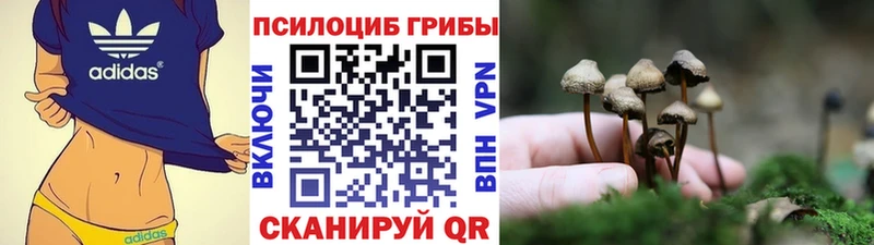 Галлюциногенные грибы мухоморы  купить наркоту  мега зеркало  Южа 